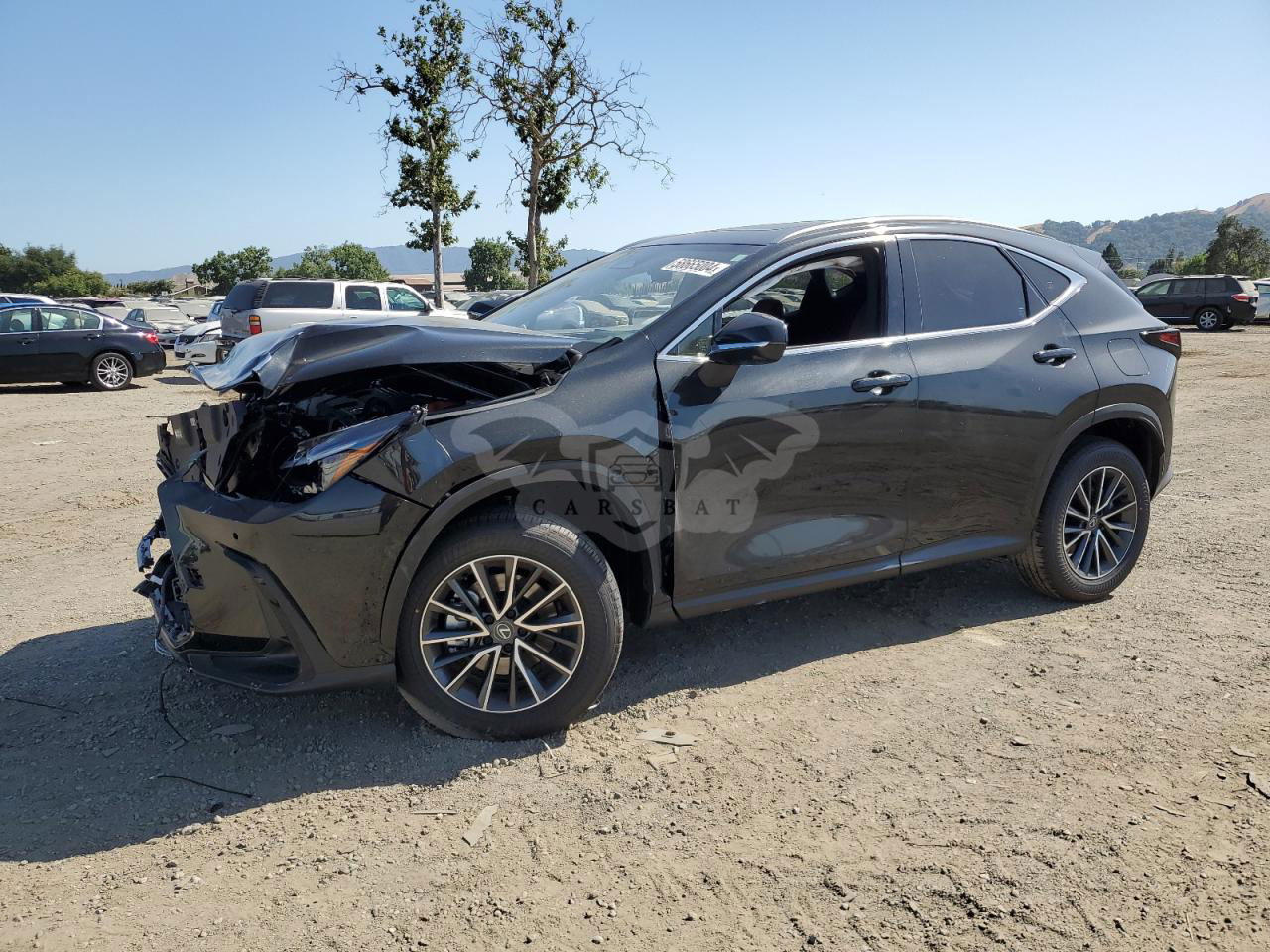Lexus NX 2024