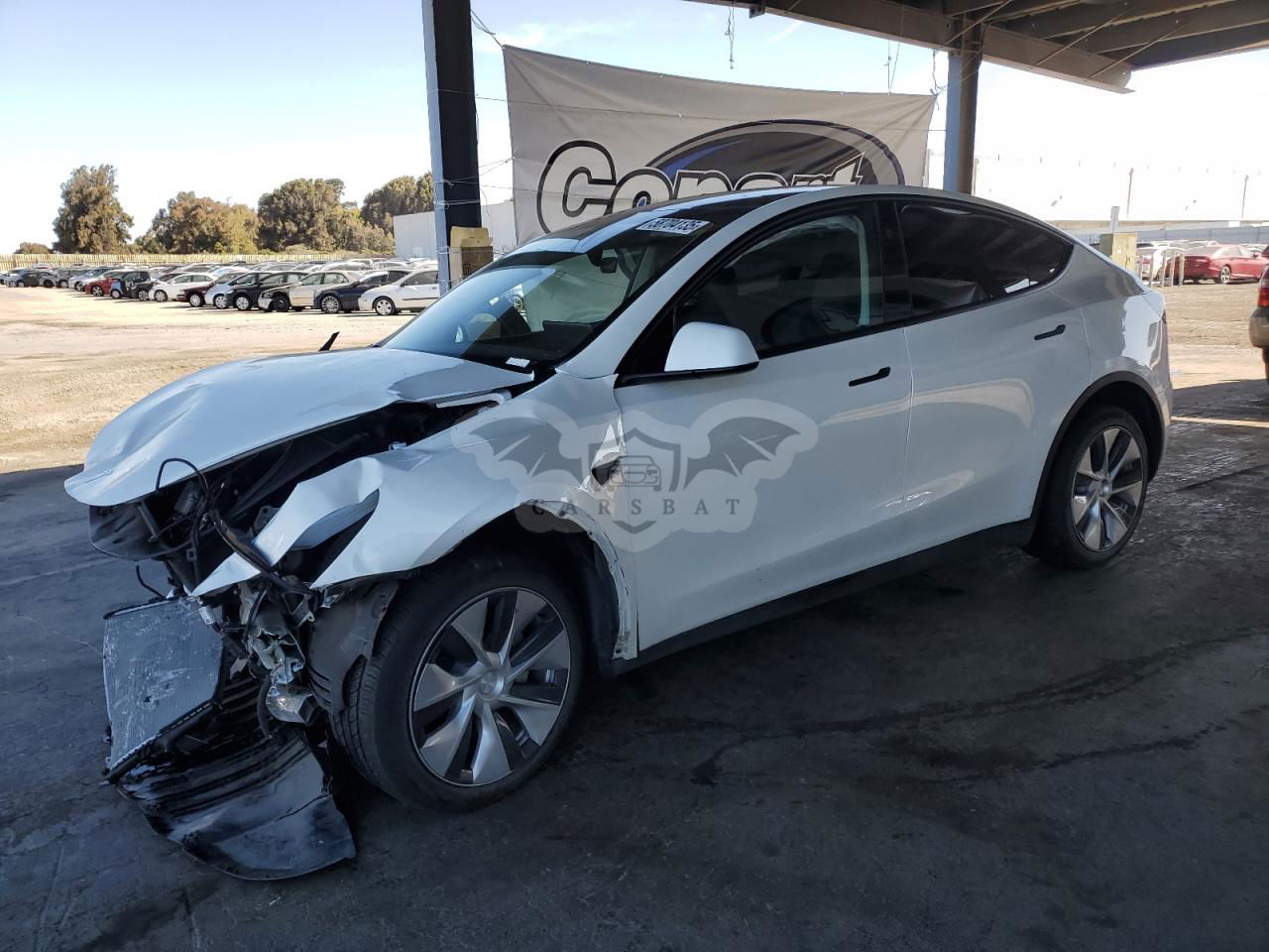 Tesla Model Y 2024