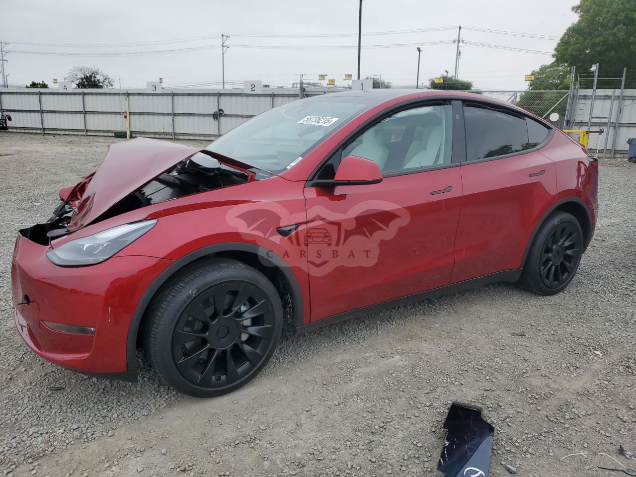 Tesla Model Y 2024