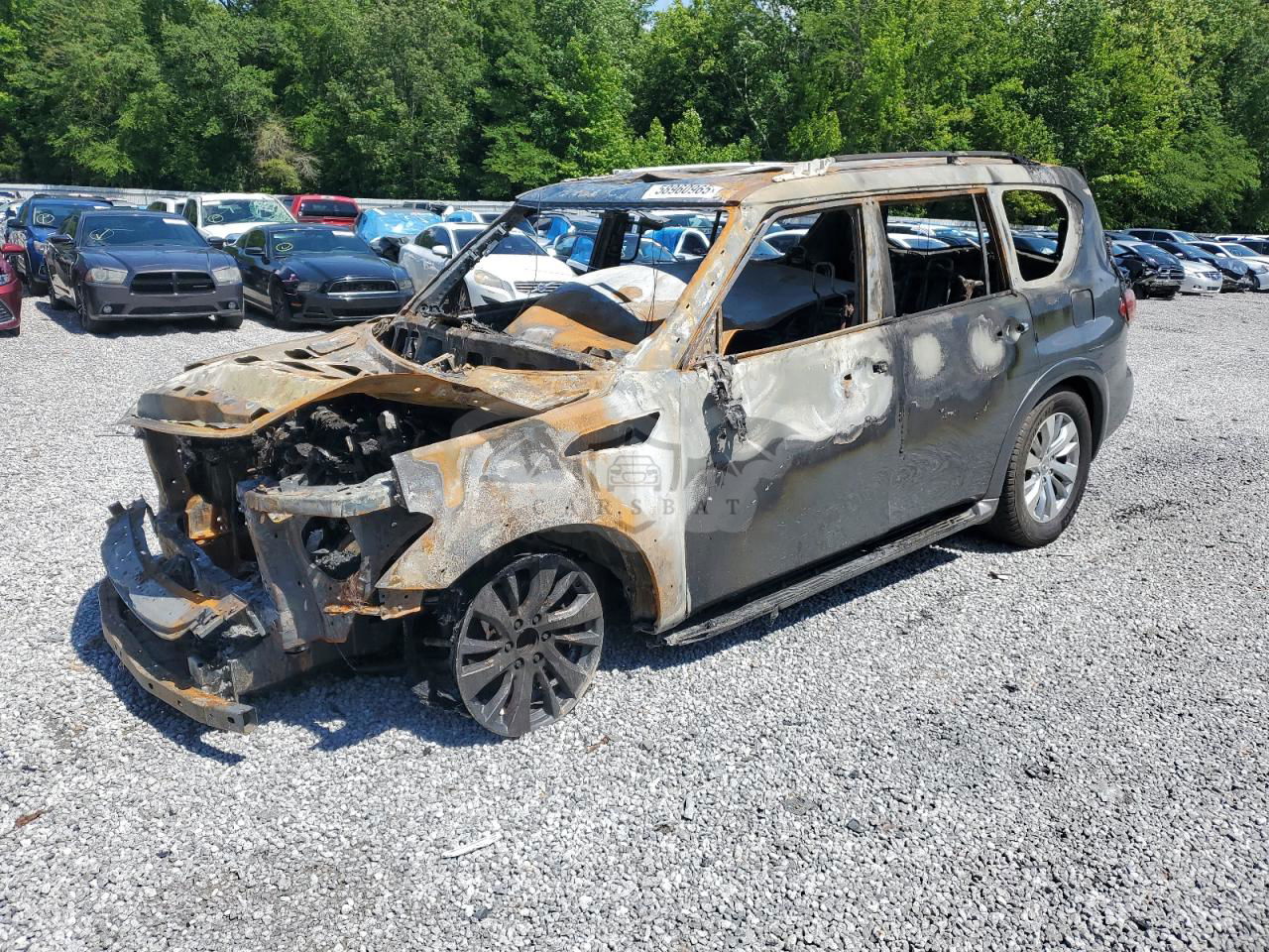 Infiniti QX80 BASE 5.6L  8 2017