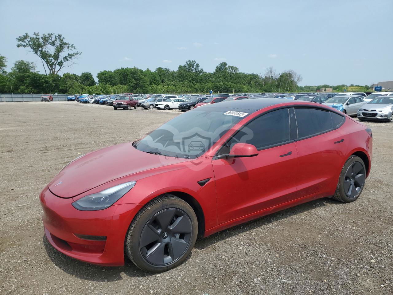 Tesla Model 3 2023