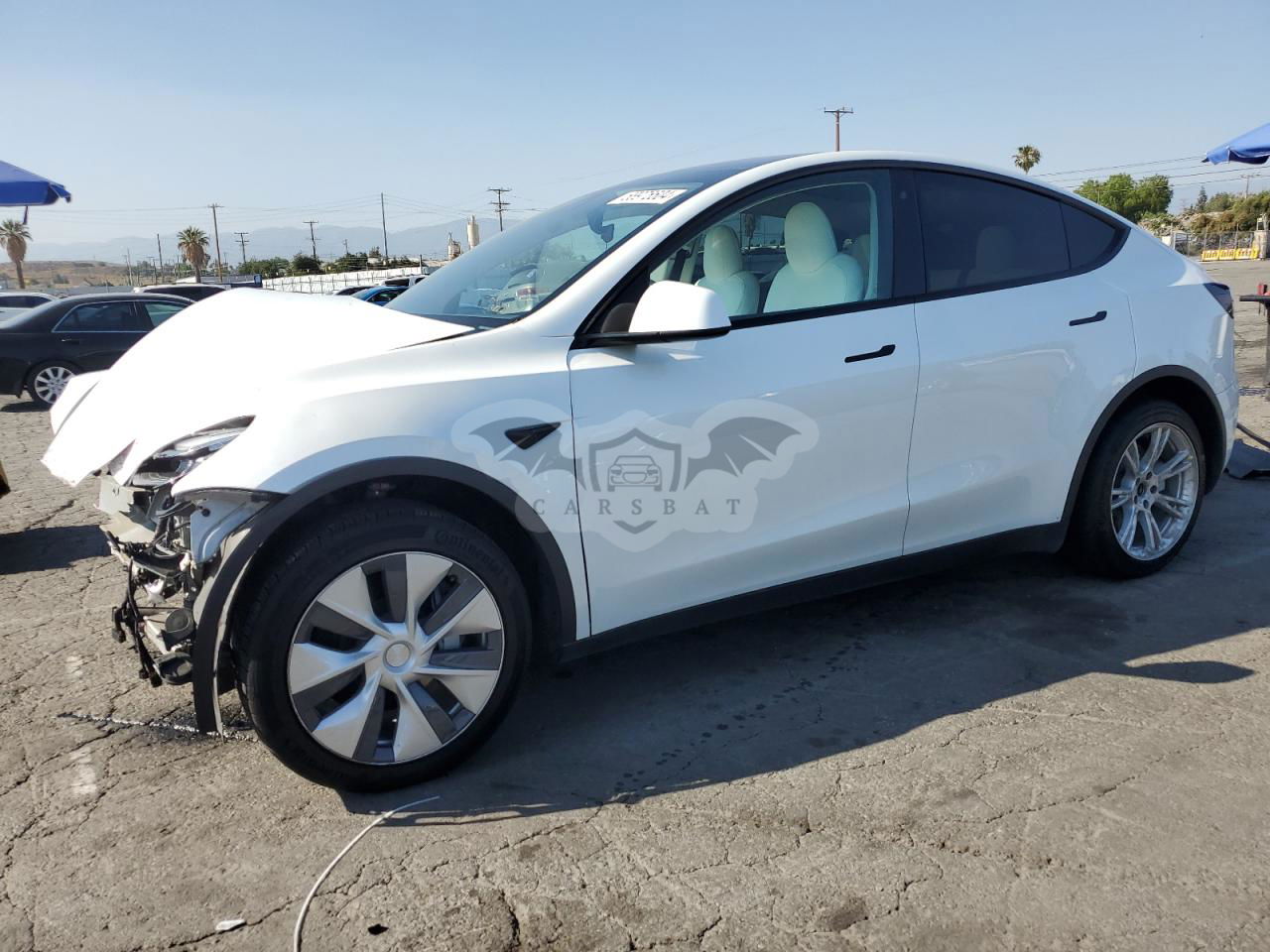 Tesla Model Y 2020