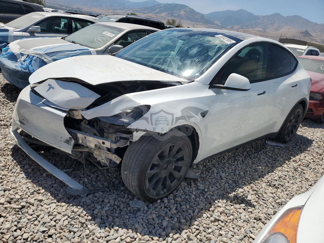 Tesla Model Y 2024