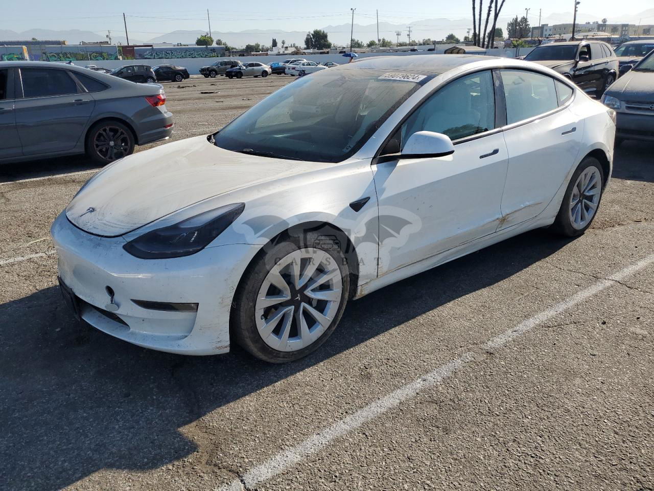 Tesla Model 3 2022