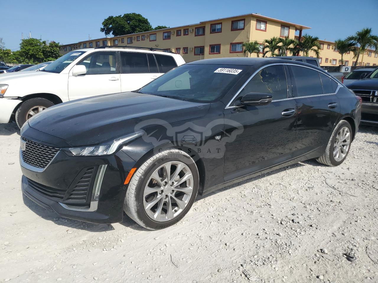 Cadillac CT5 PREMIUM LUXURY 2.0L  4 2020