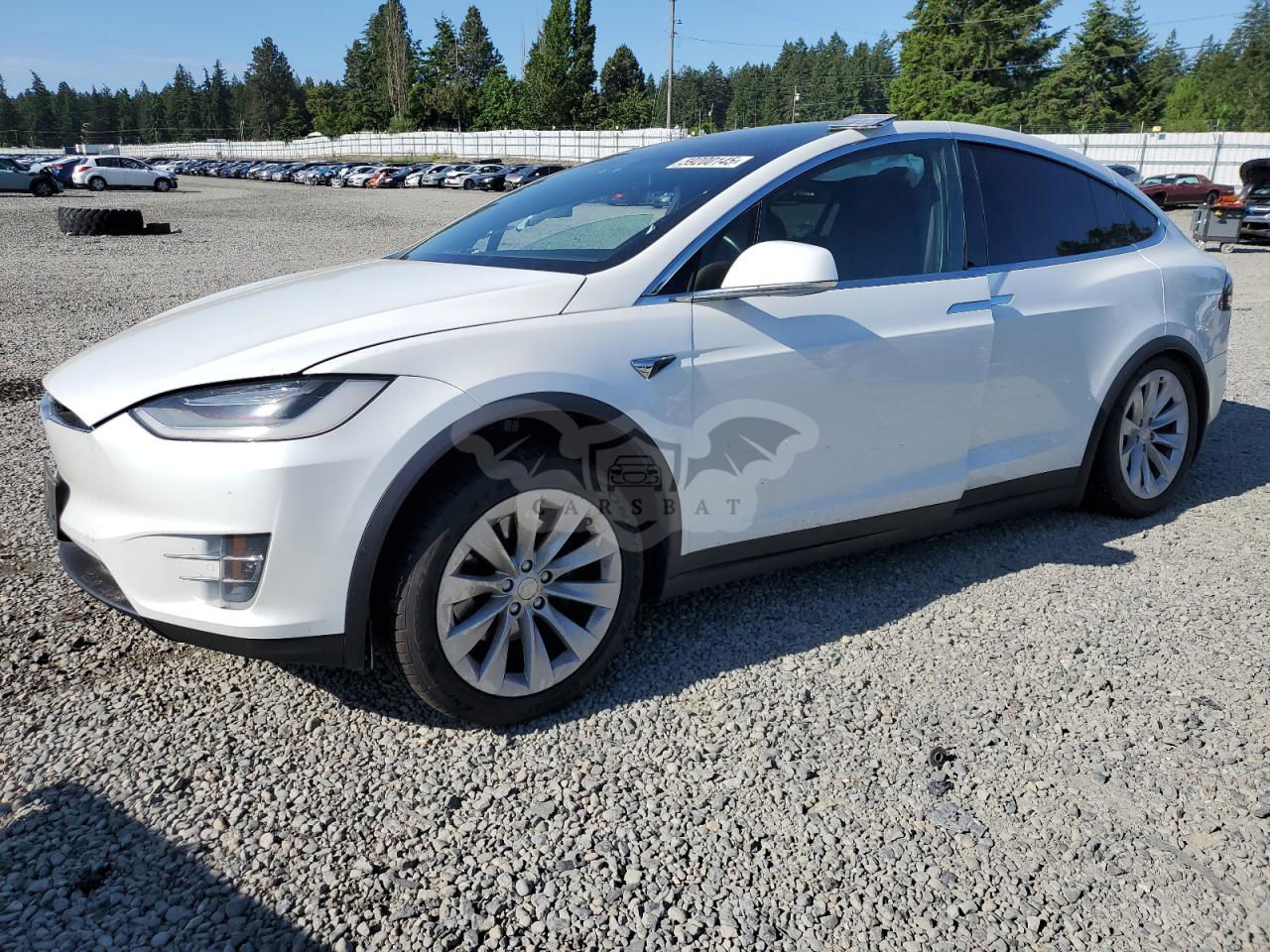 Tesla Model X 2020