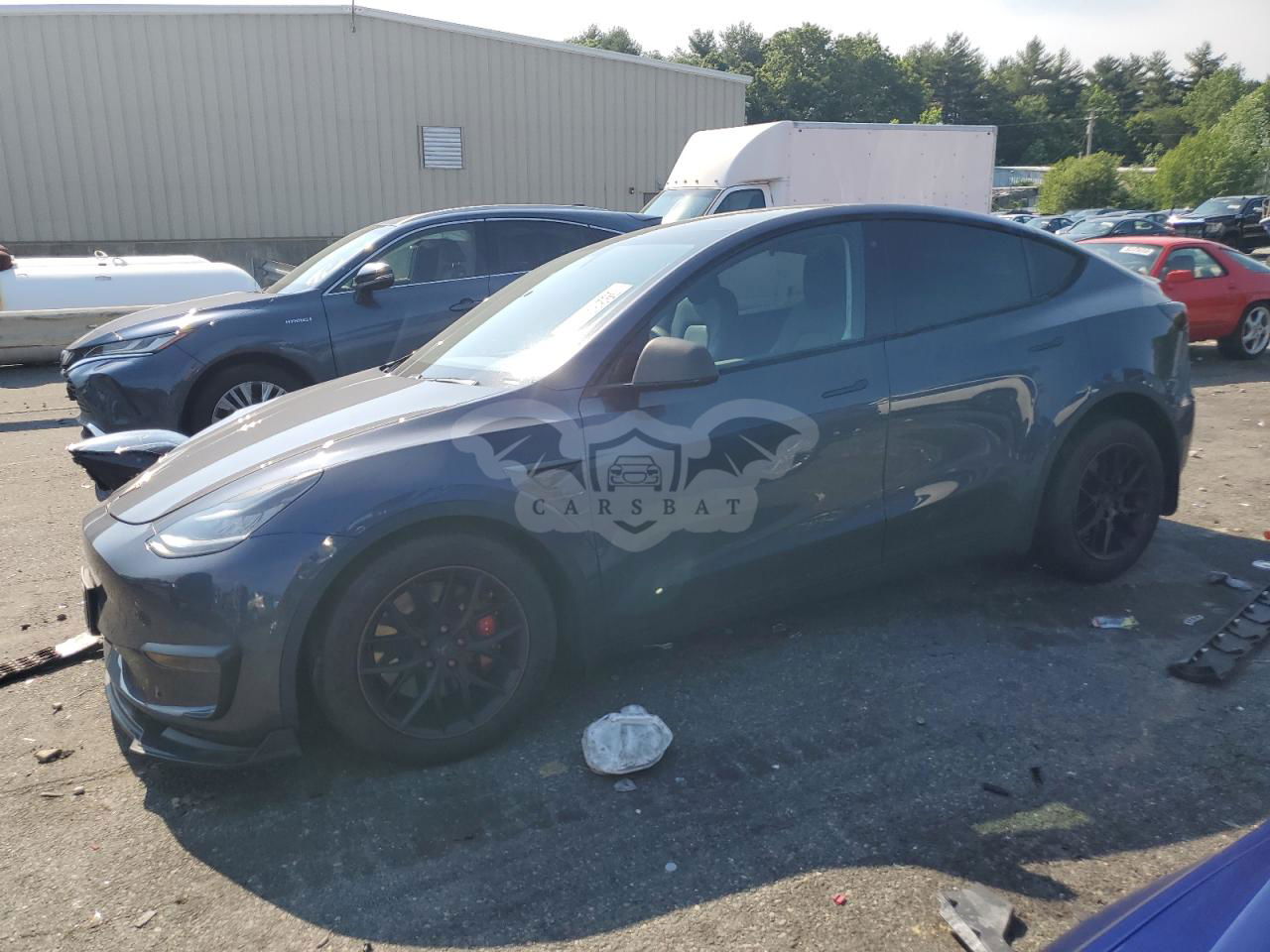 Tesla Model Y 2020