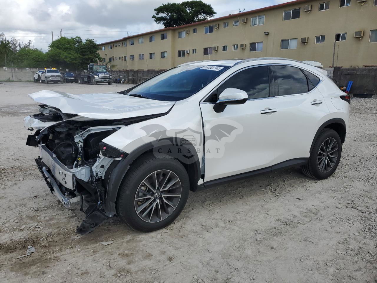 Lexus NX 2024