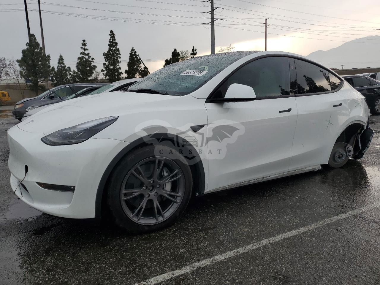 Tesla Model Y 2024