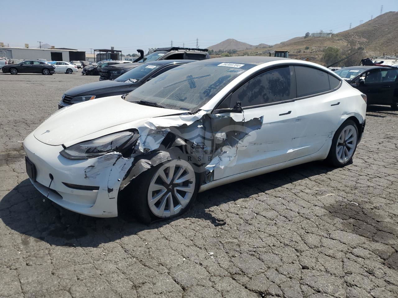 Tesla Model 3 2022
