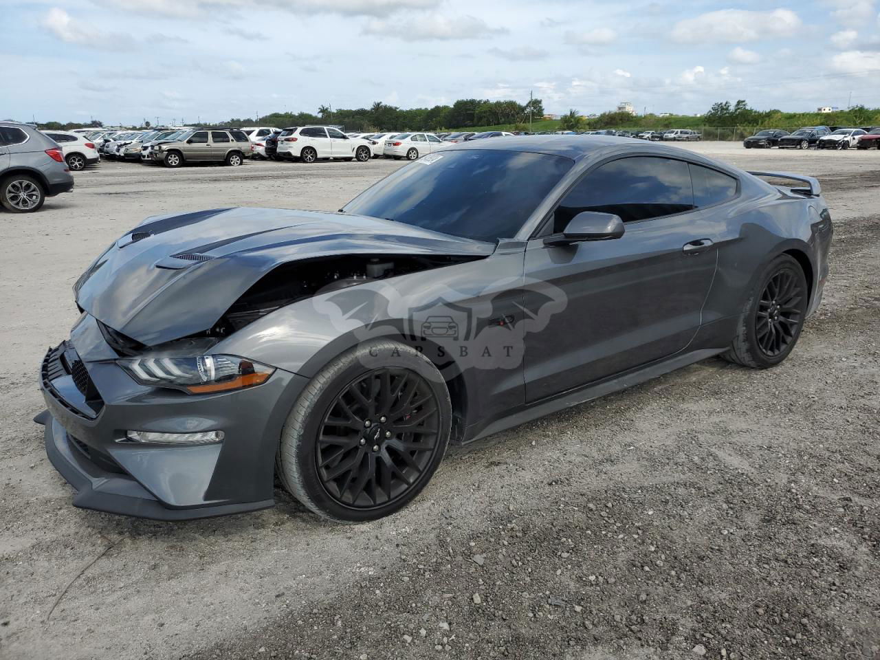 Ford Mustang GT 5.0L  8 2021