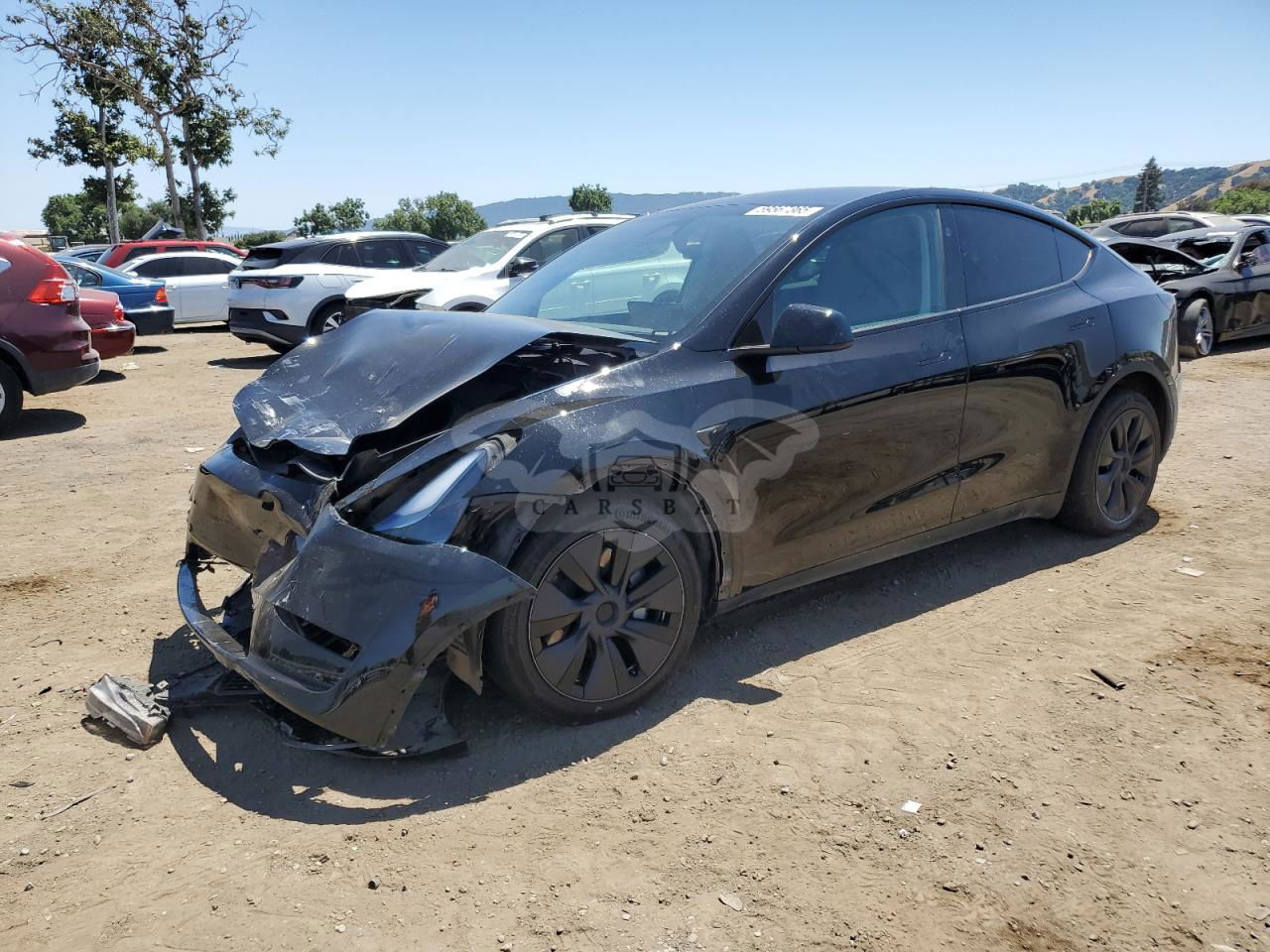 Tesla Model Y 2024