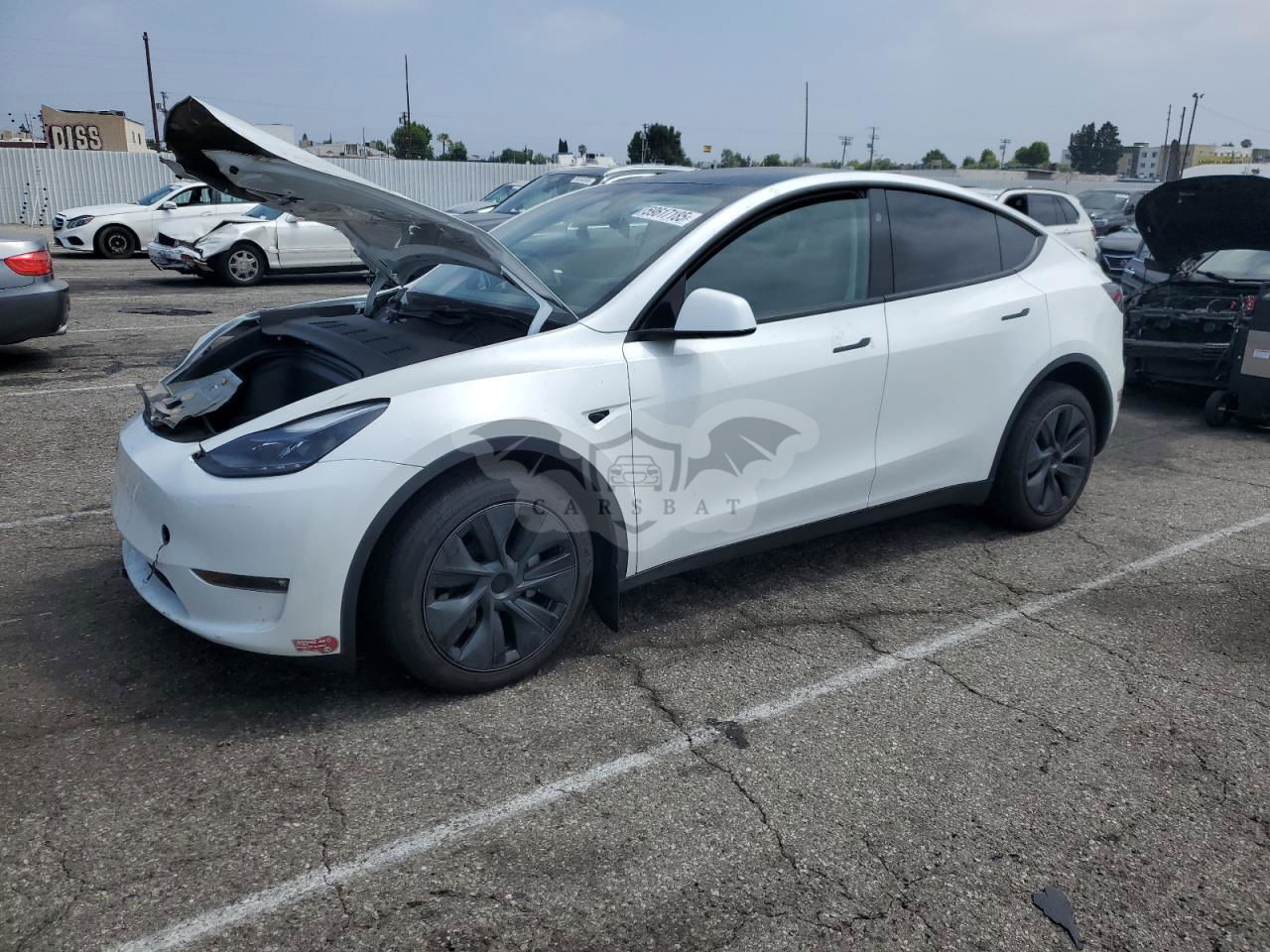 Tesla Model Y 2024