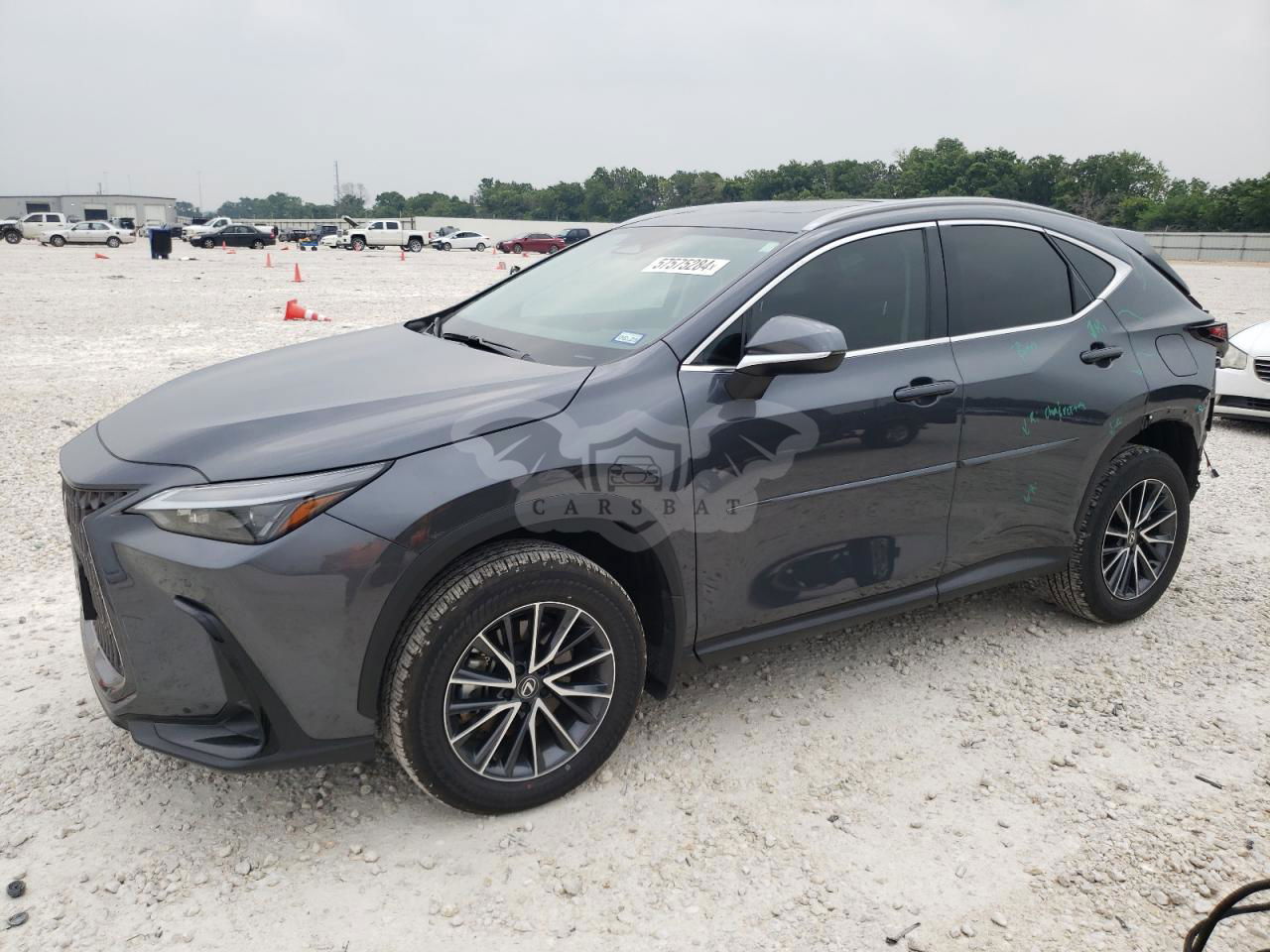 Lexus NX 2024