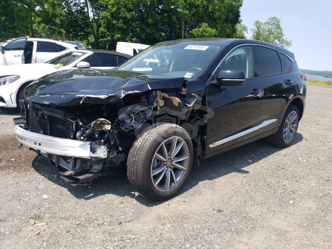 Acura RDX TECHNOLOGY 2.0L  4 2024