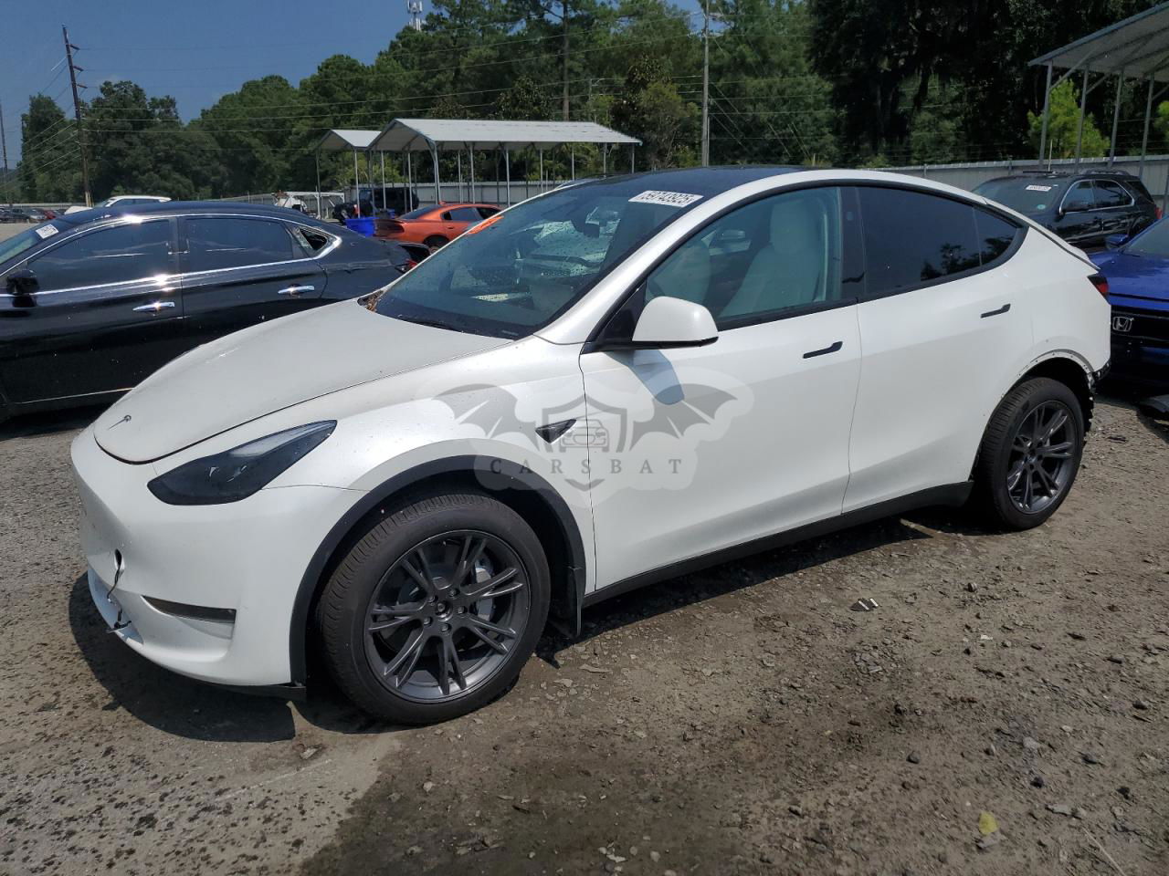Tesla Model Y 2024