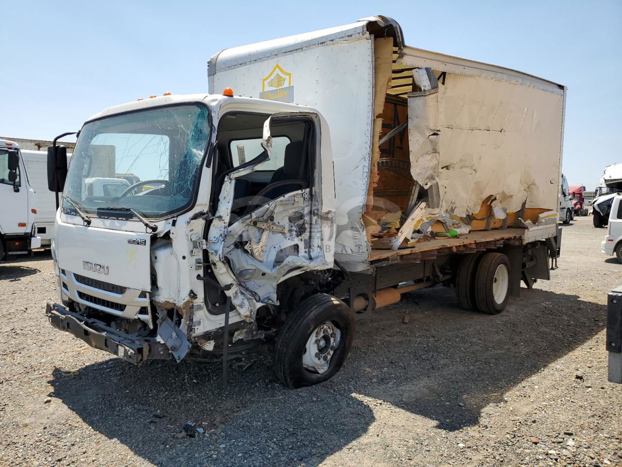Isuzu NPR 6.6L  8 2024