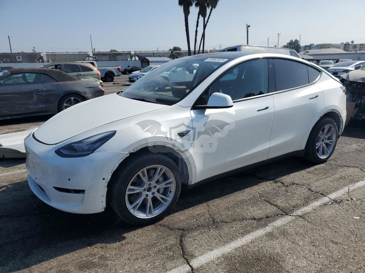 Tesla Model Y 2022