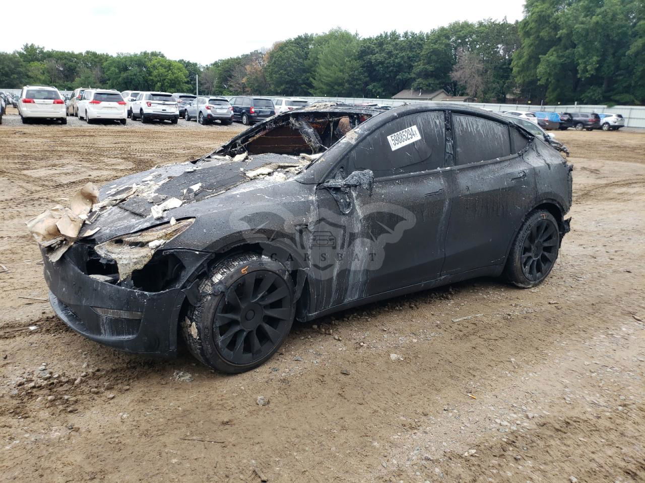 Tesla Model Y 2021