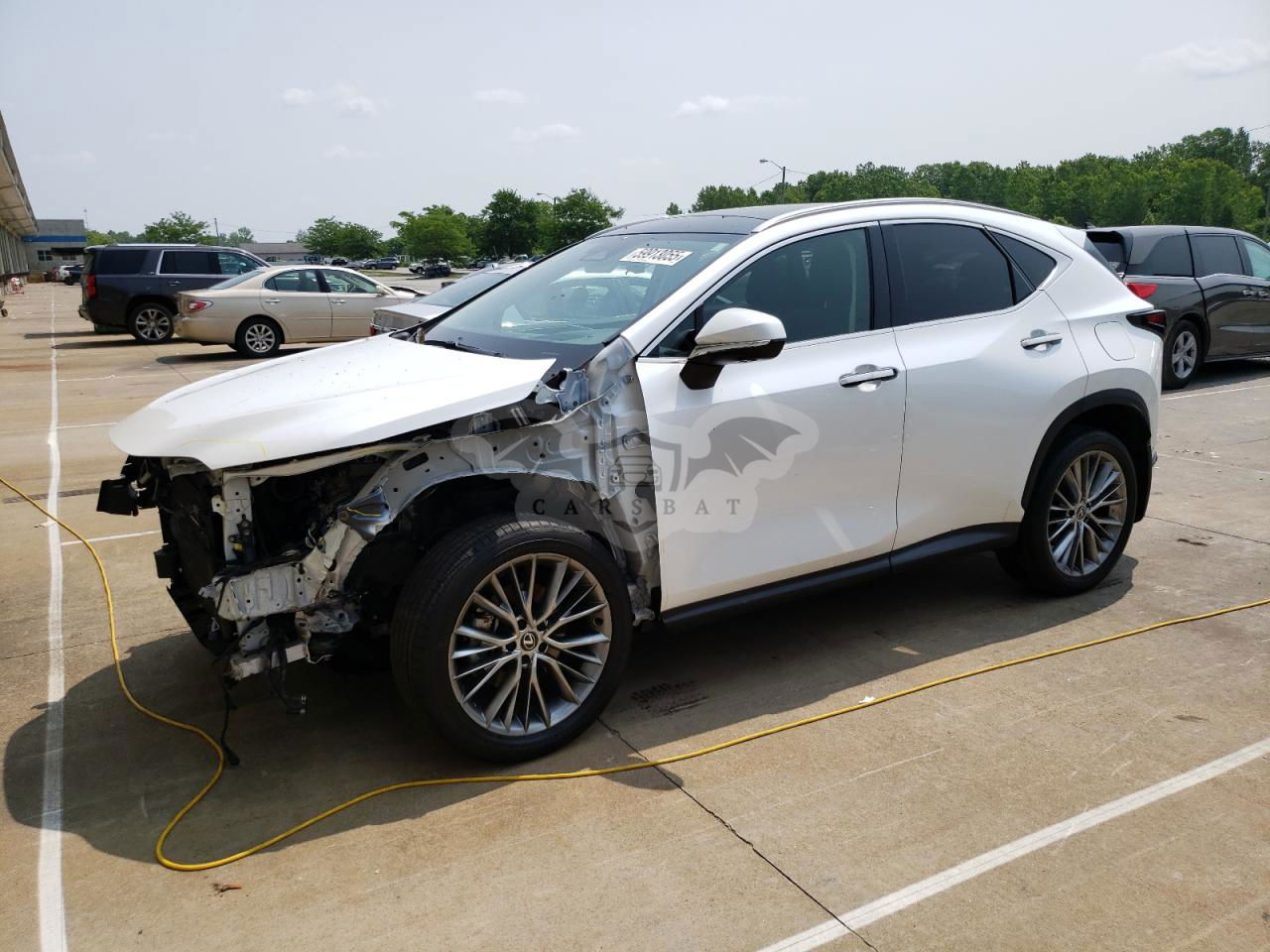 Lexus NX 350H BASE 2.5L  4 2024