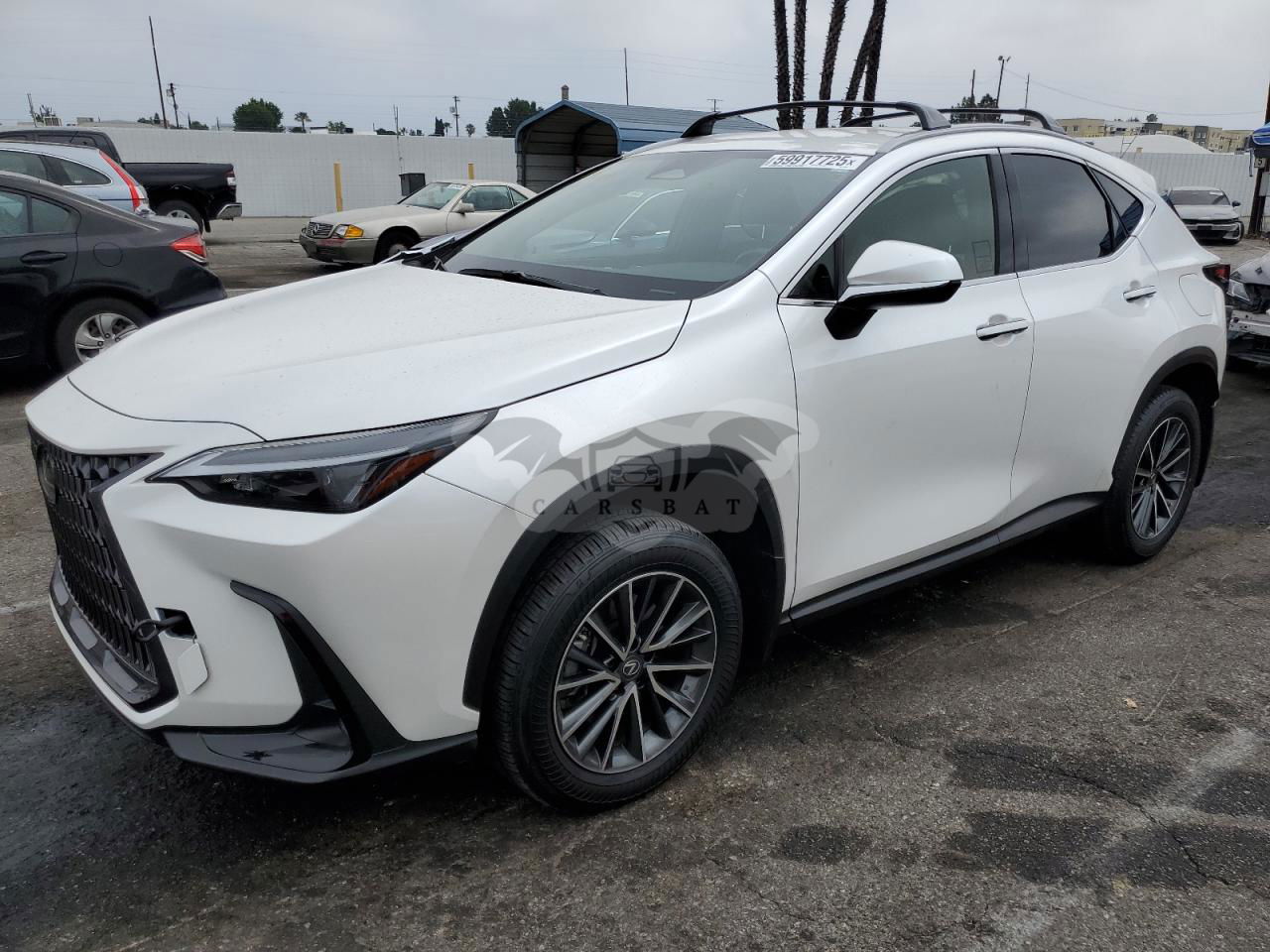 Lexus NX 250 2.5L  4 2023