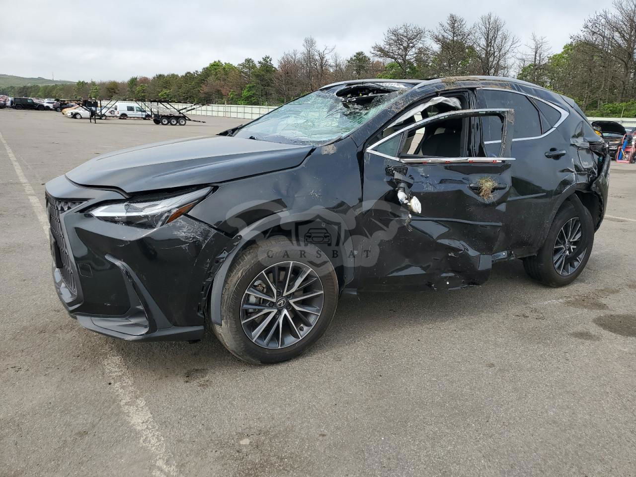Lexus NX 250 BASE 2.5L  4 2024
