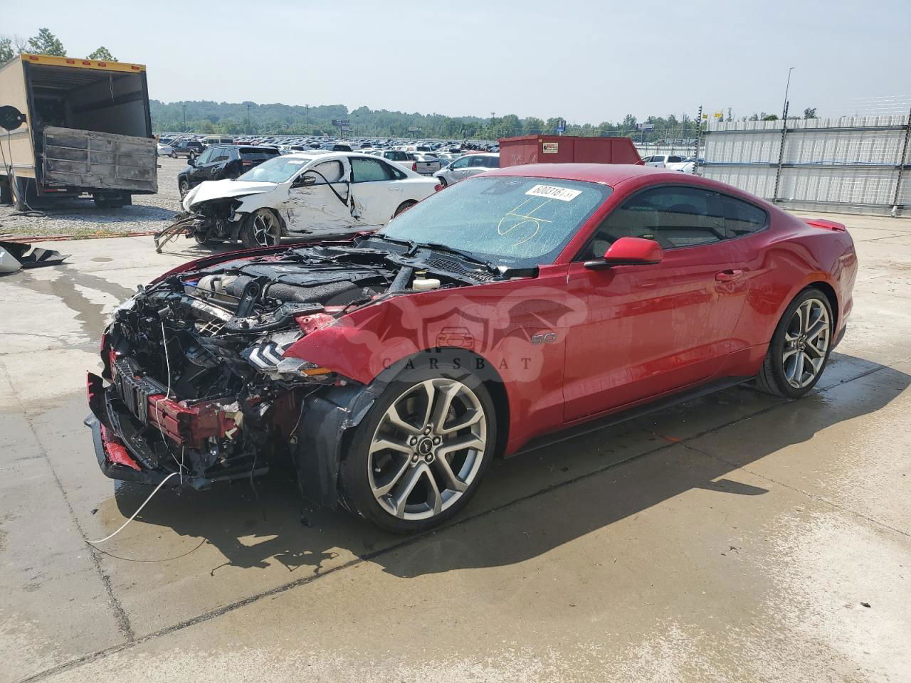 Ford Mustang GT 5.0L  8 2021