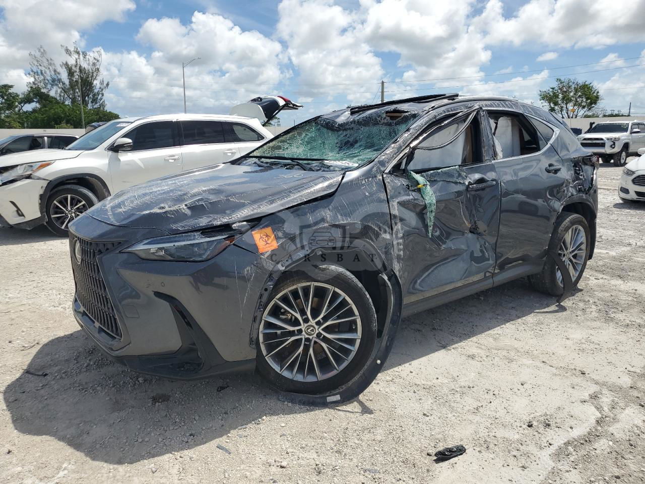 Lexus NX 350H 2.5L  4 2023