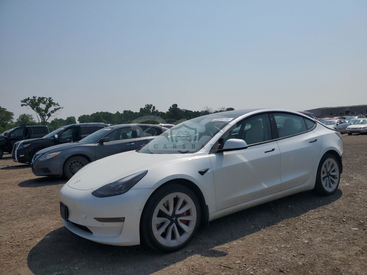 Tesla Model 3 2021
