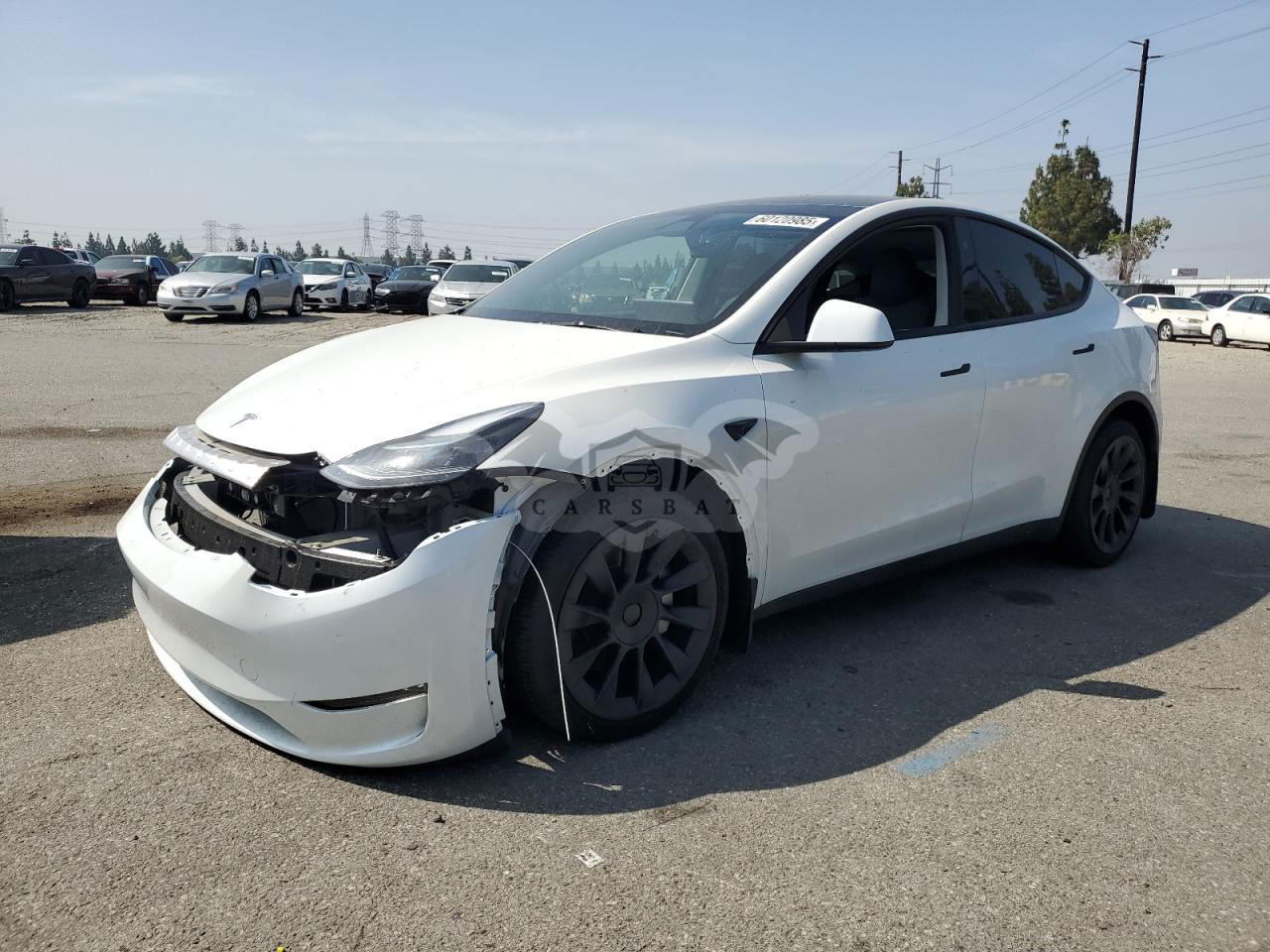 Tesla Model Y 2024