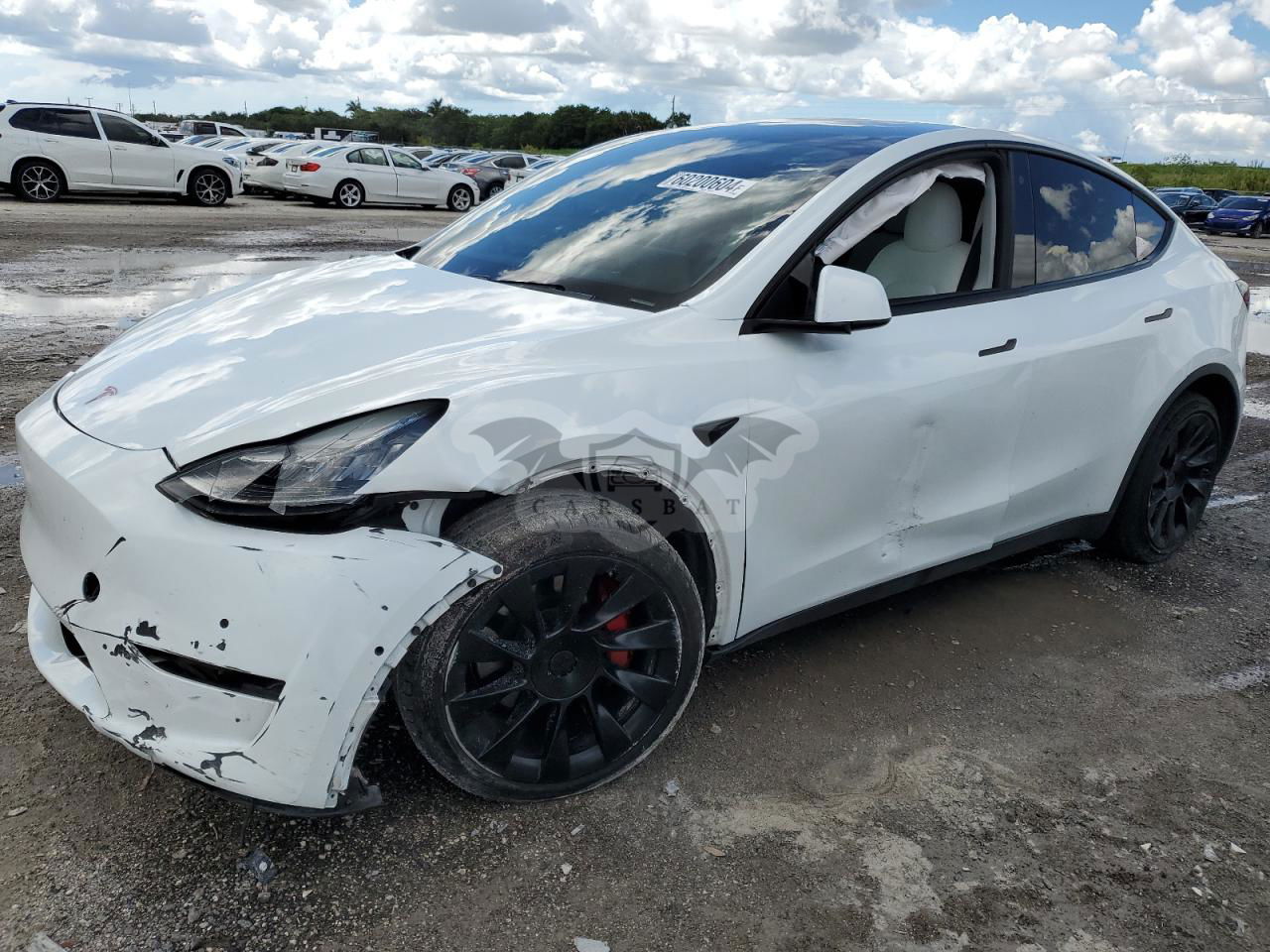Tesla Model Y 2020