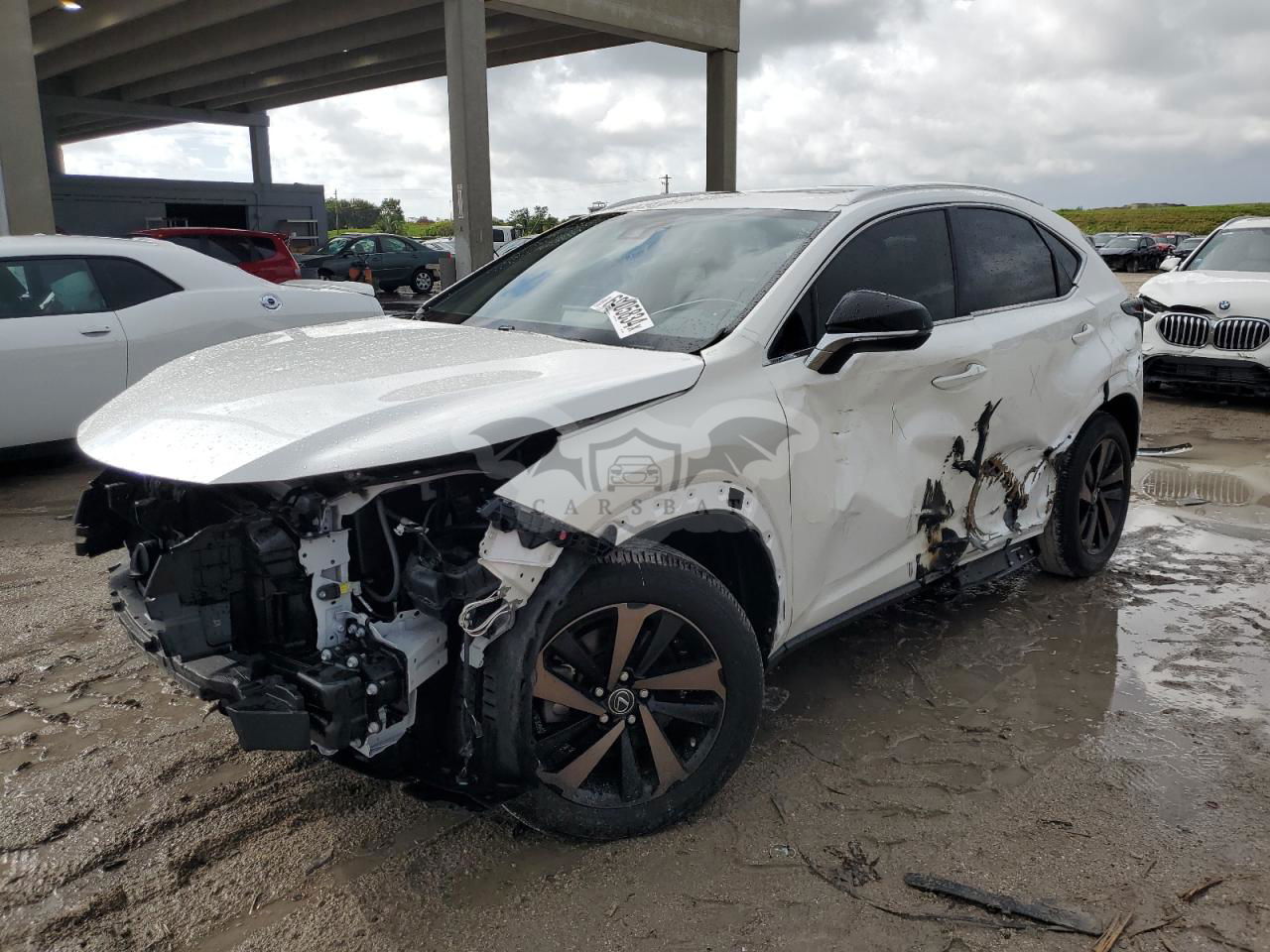 Lexus NX 2020