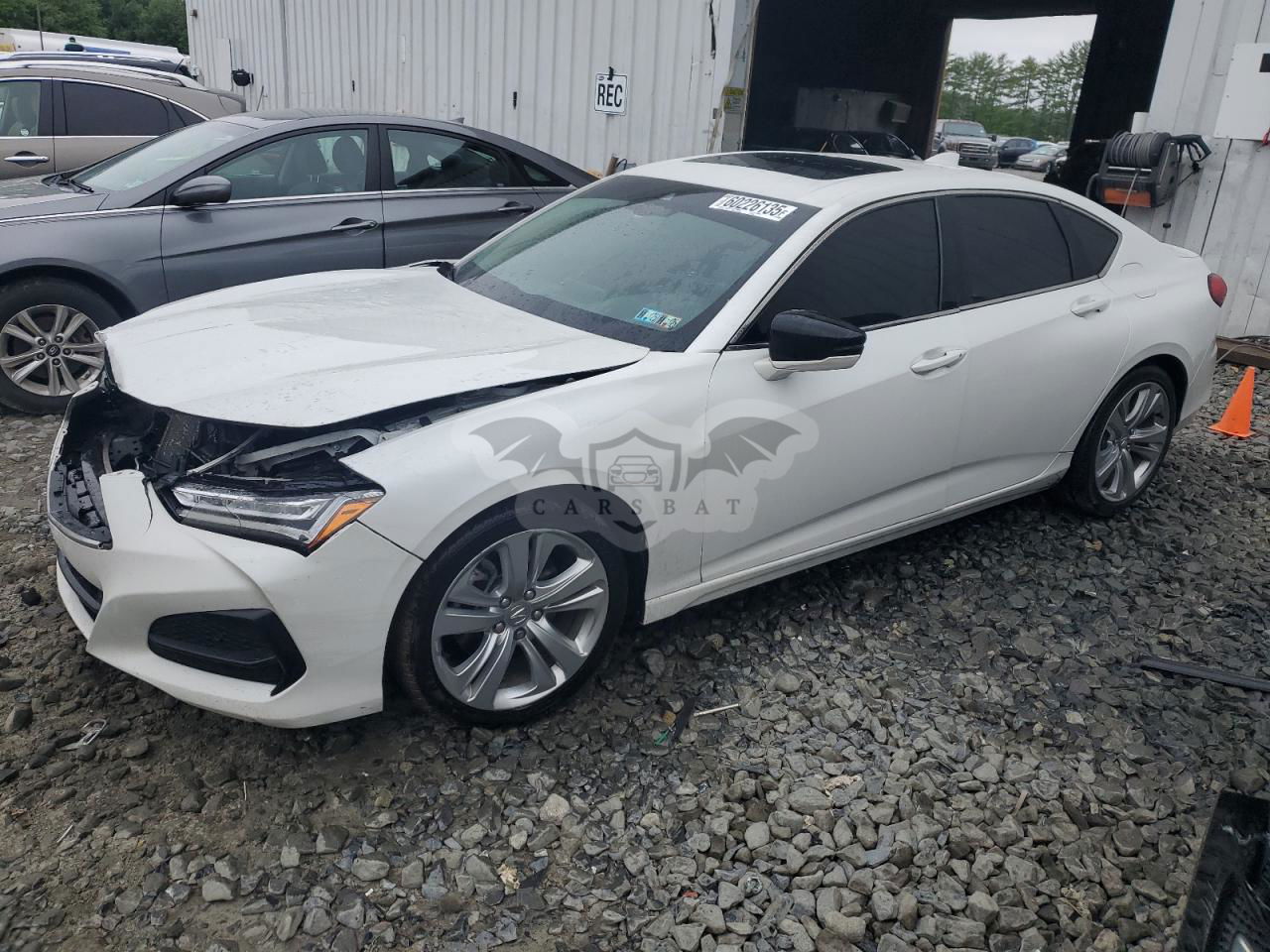 Acura TLX TECHNOLOGY 2.0L  4 2023