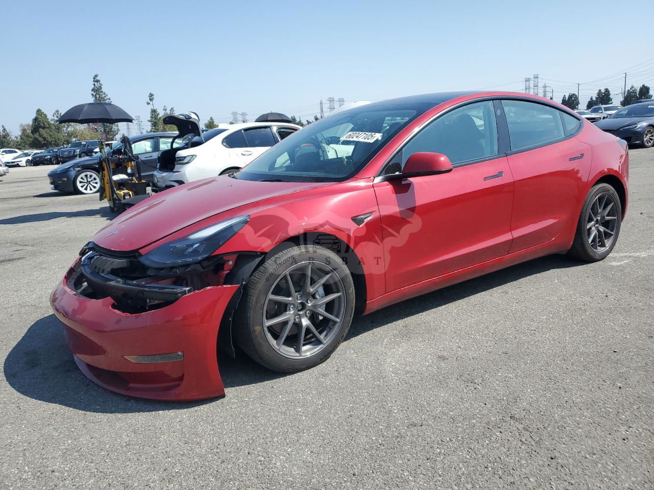 Tesla Model 3 2023