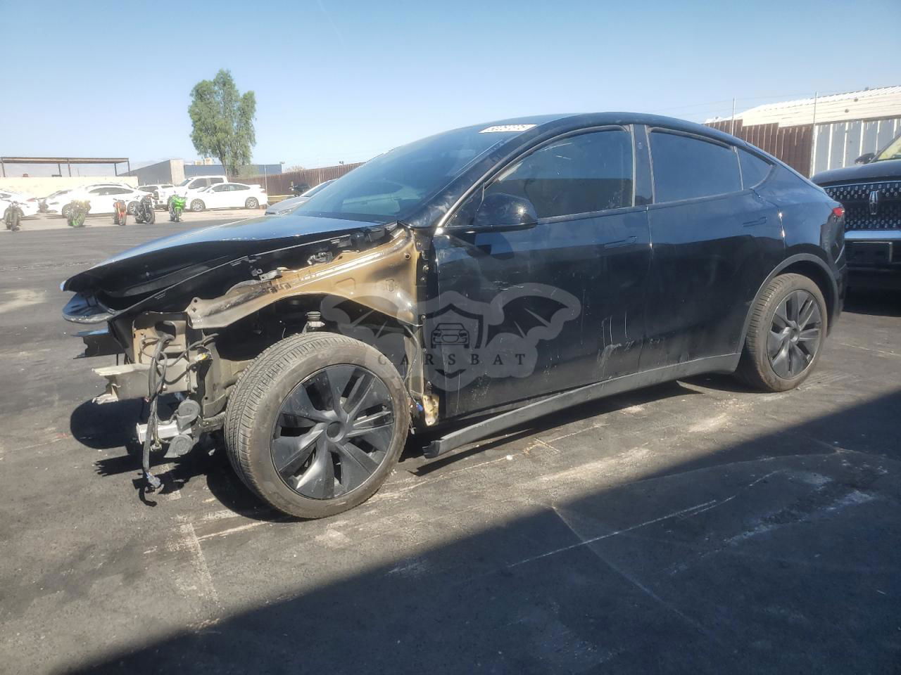 Tesla Model Y 2024
