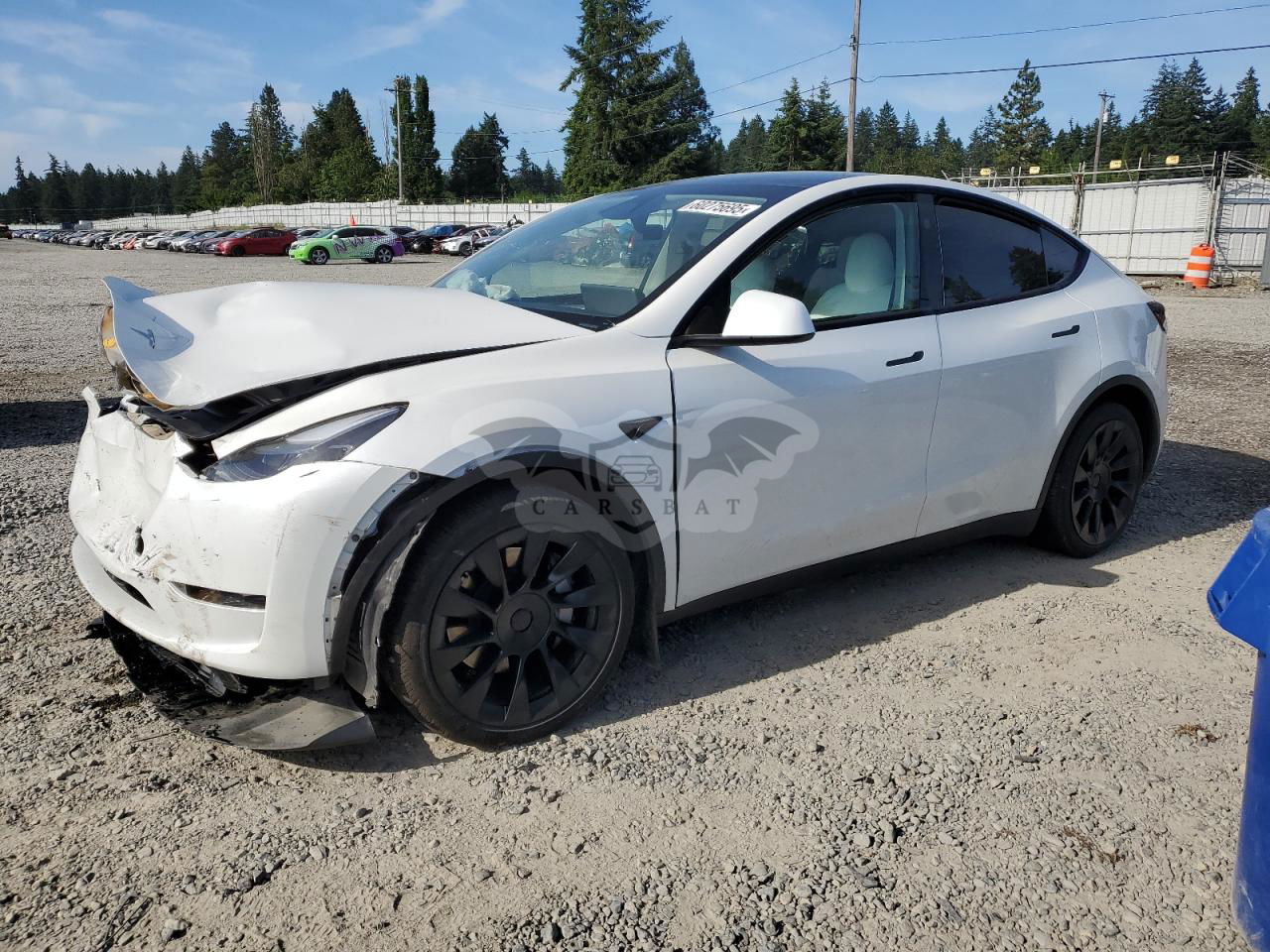 Tesla Model Y 2024