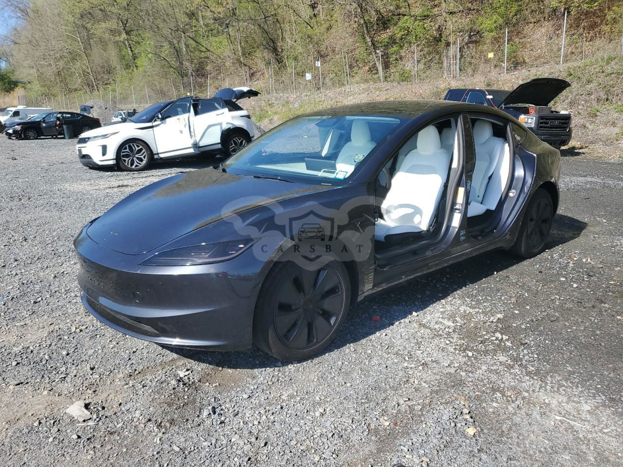 Tesla Model 3 2024