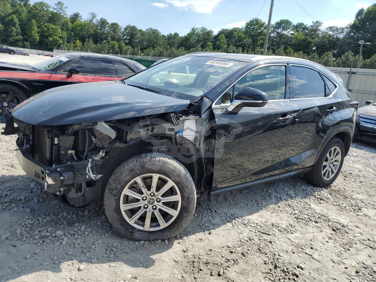 Lexus NX 2020