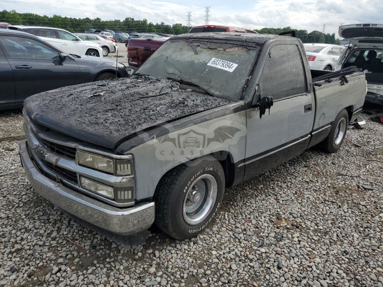 Chevrolet C/K Series C1500 5.0L  8 1989