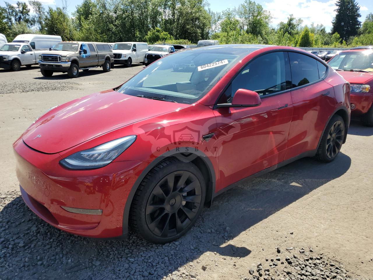Tesla Model Y 2020