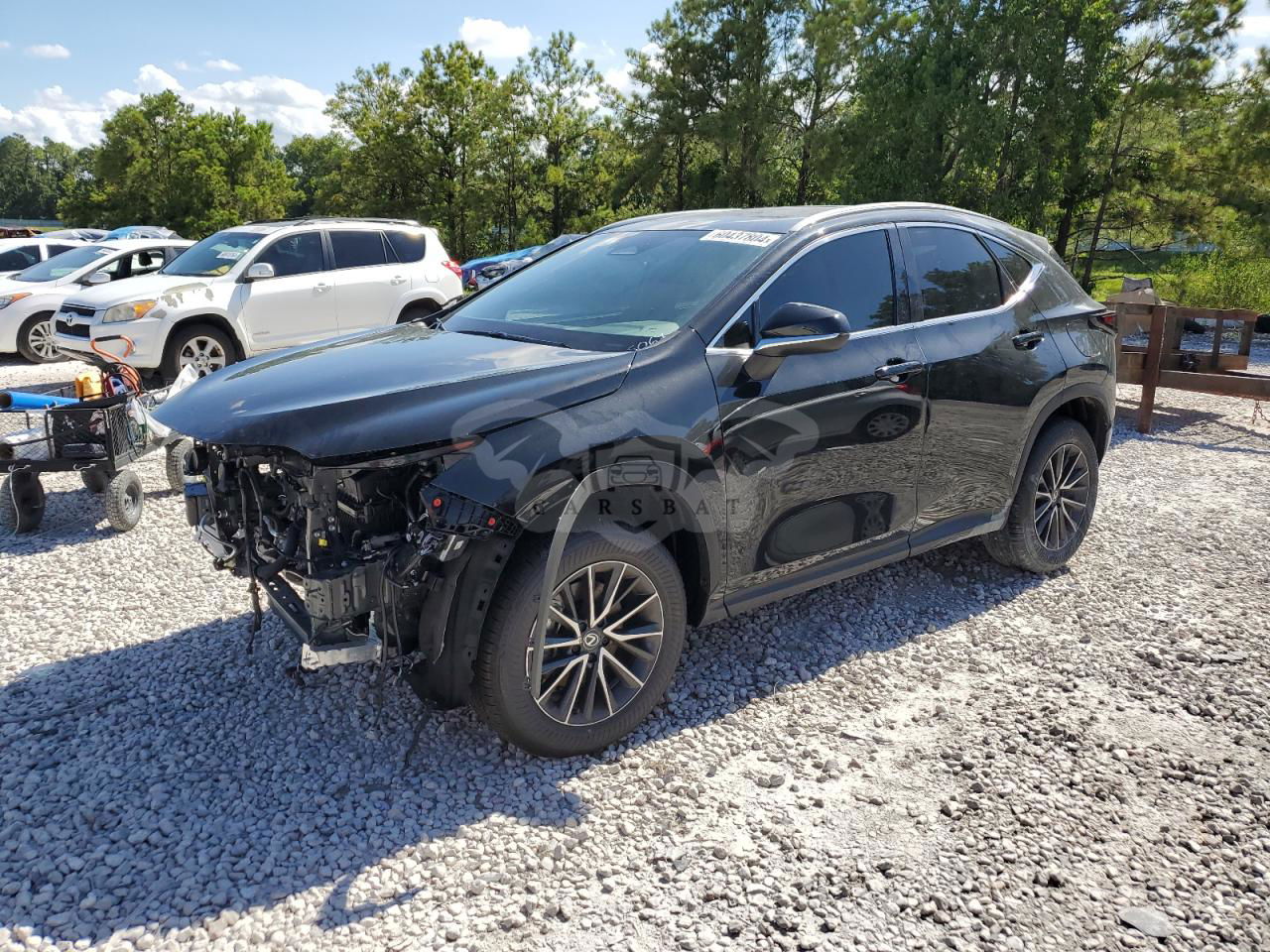 Lexus NX 250 PREMIUM 2.5L  4 2024