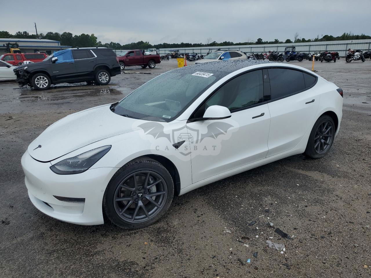 Tesla Model 3 2021