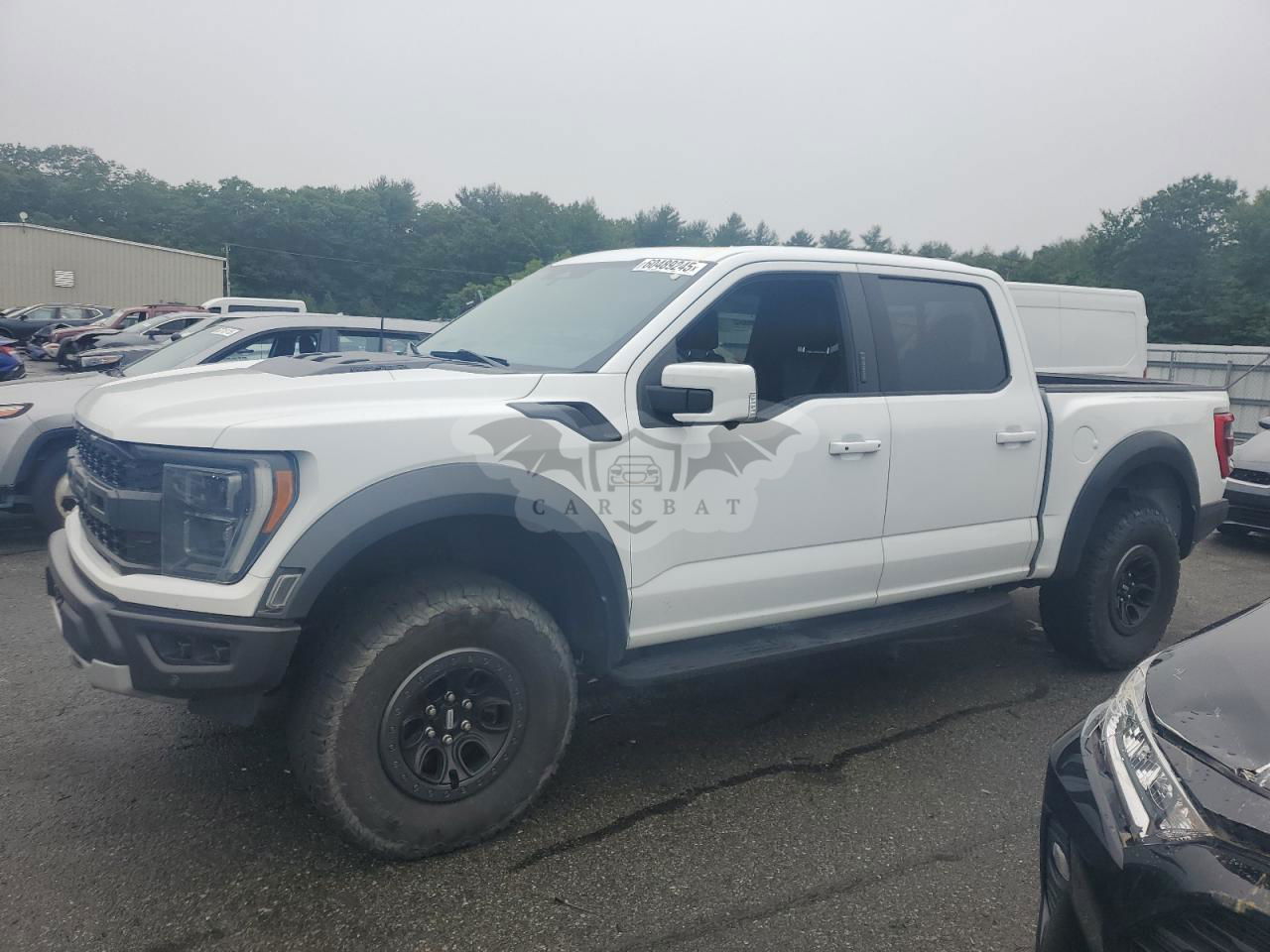 Ford F-150 RAPTOR 3.5L  6 2023
