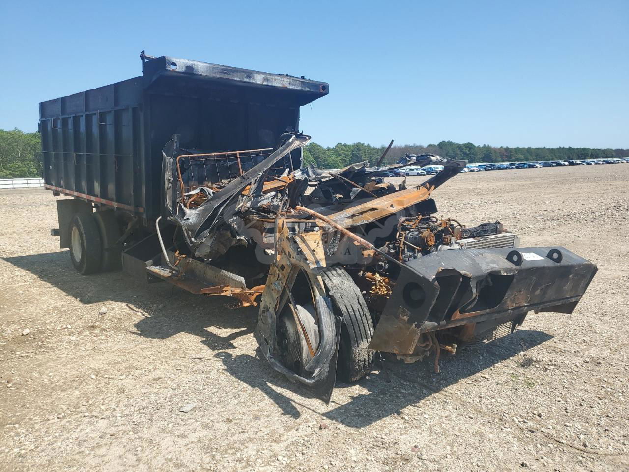 Freightliner Business Class M2 106 MEDIUM DUTY 7.2L  6 2007