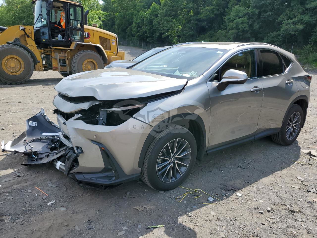 Lexus NX 2024