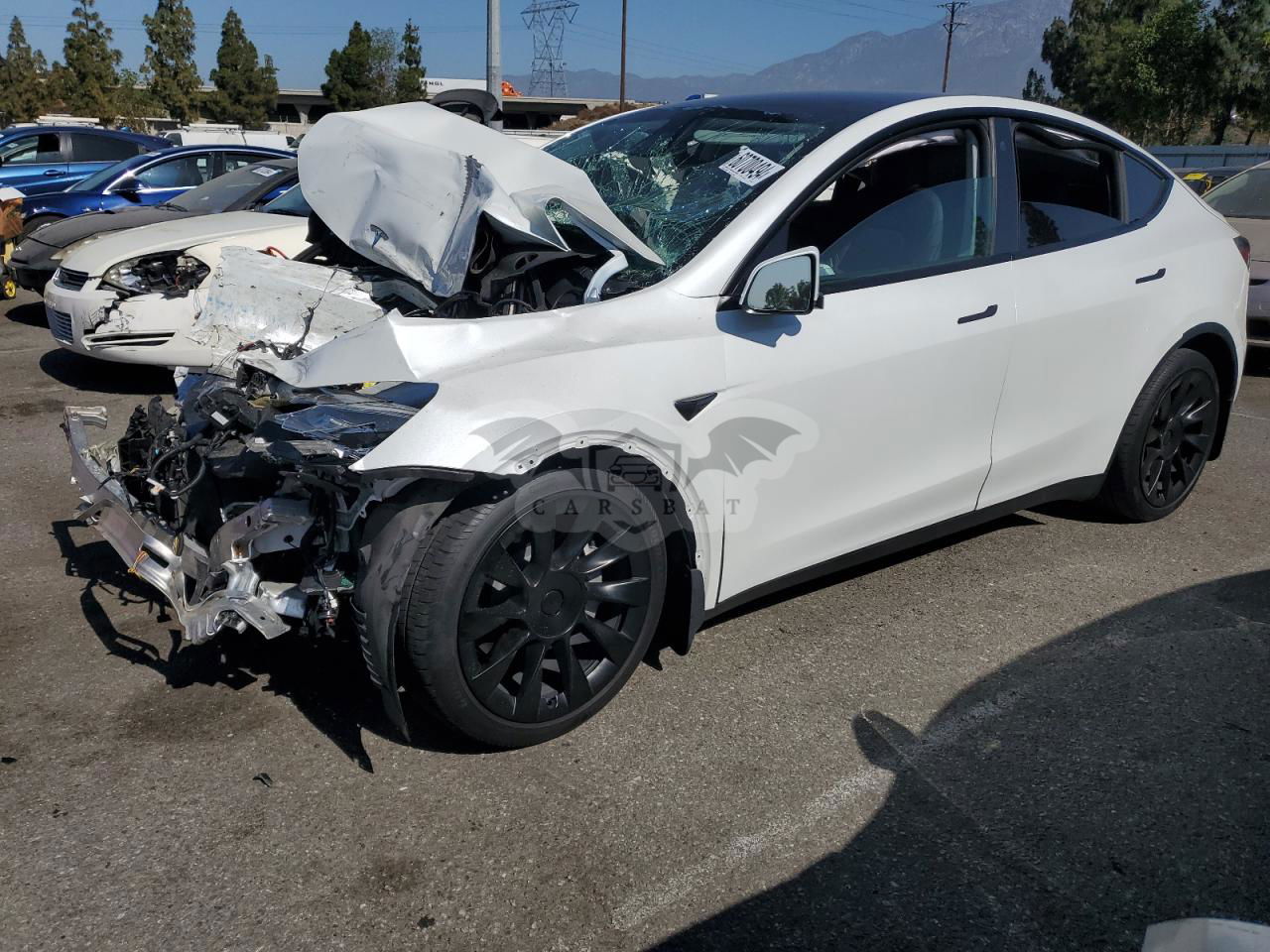 Tesla Model Y 2021