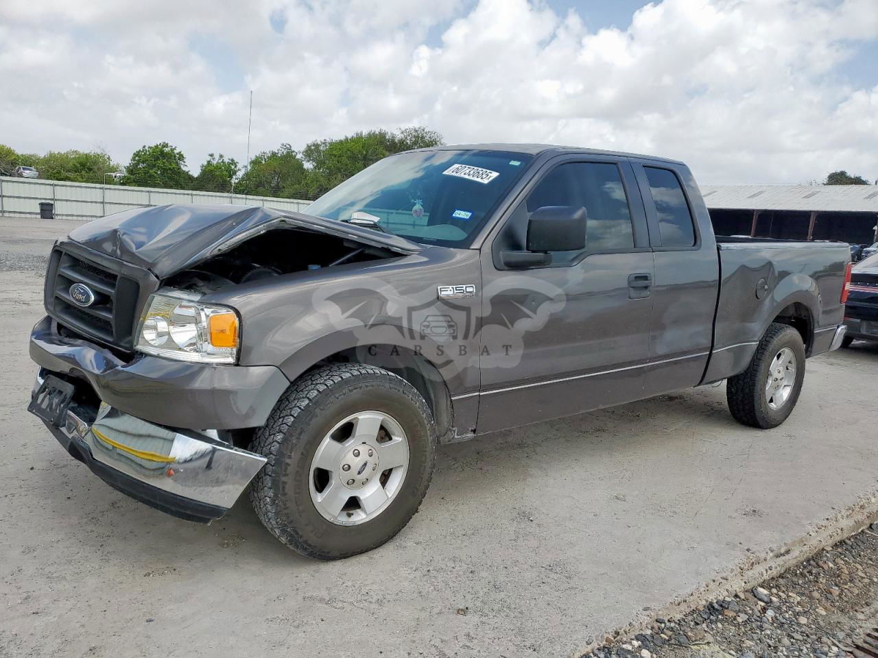 Ford F-150 4.6L  8 2005