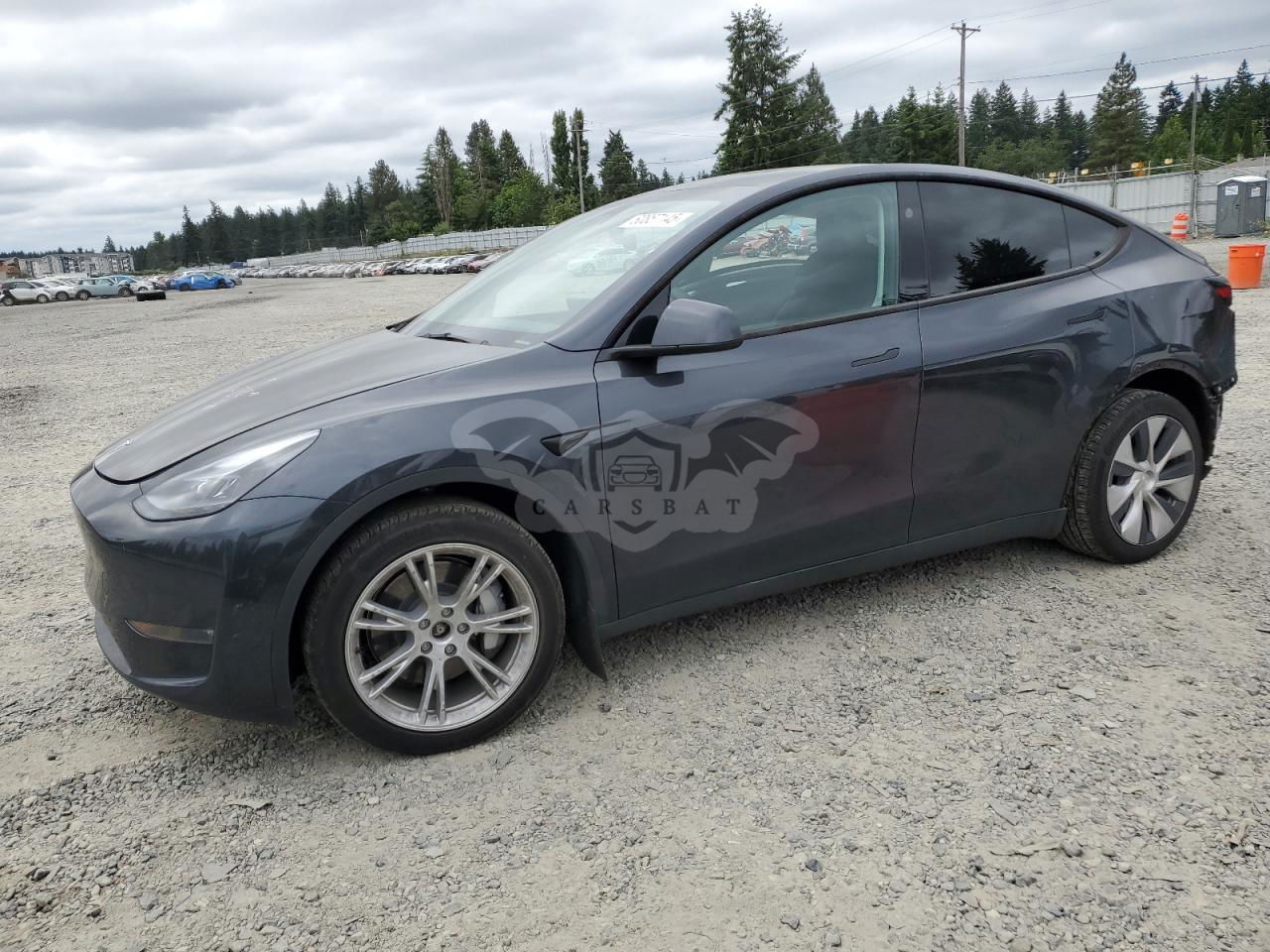 Tesla Model Y 2024