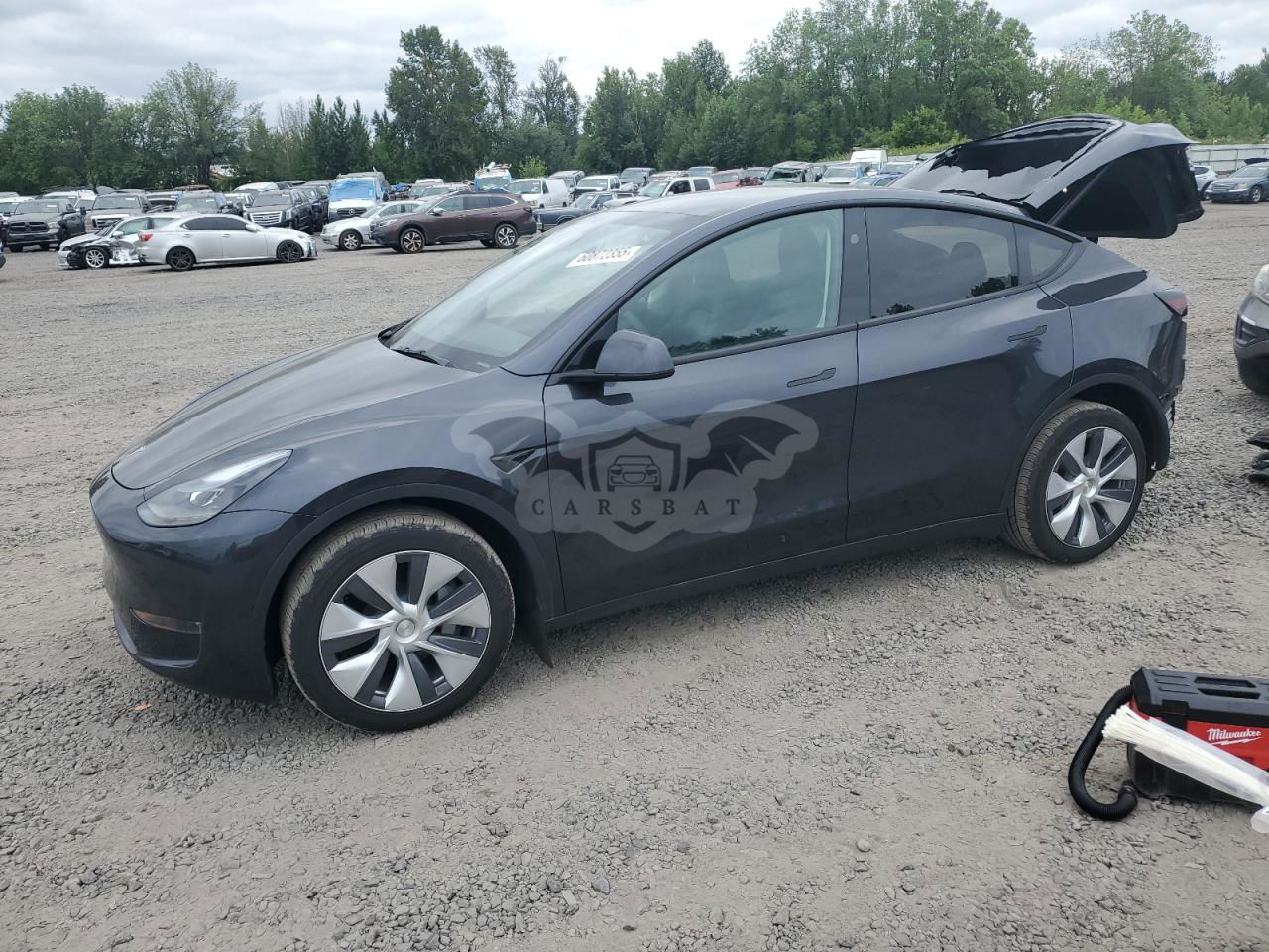 Tesla Model Y 2024