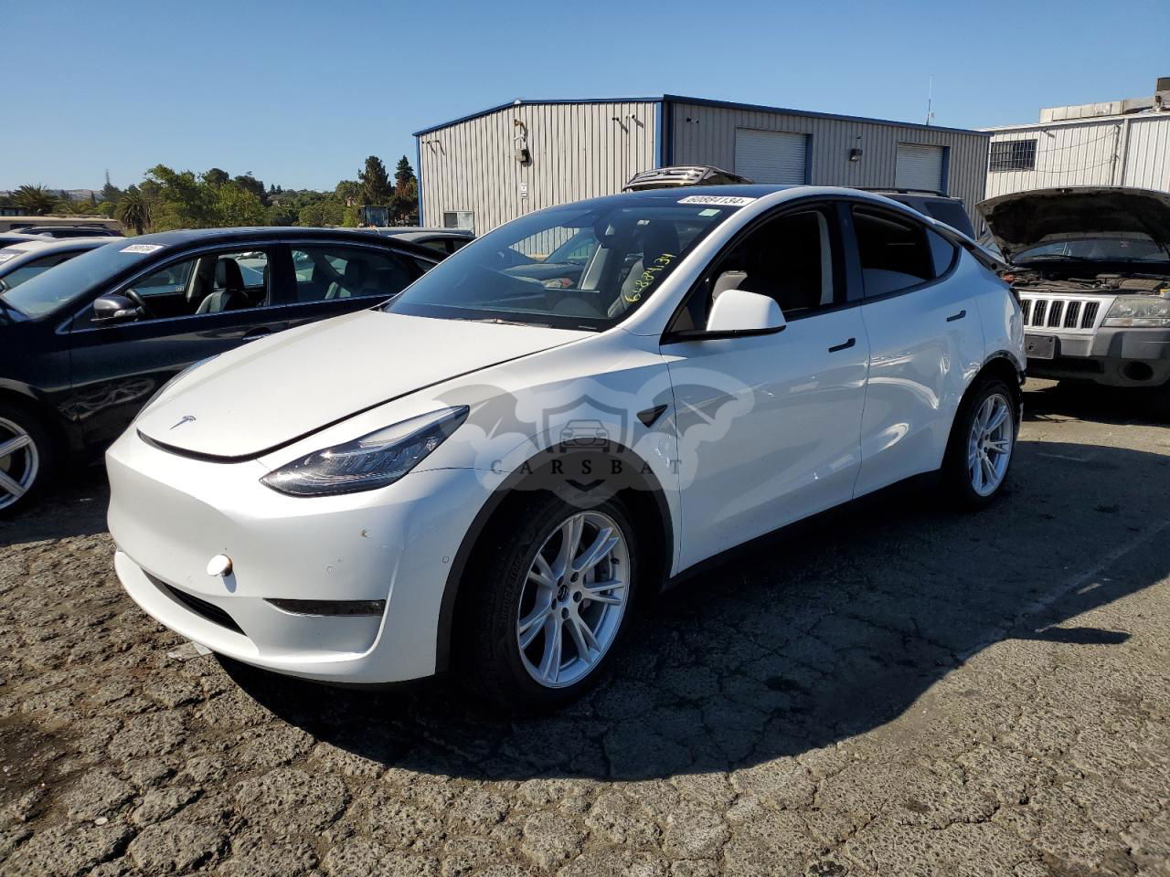 Tesla Model Y 2021